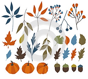 Big fall autumn bundle. Set of 27 vector elements. Berries, leaves, flowers, branches, pumpkin, acorn isolated on white background