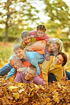 Big family having fun