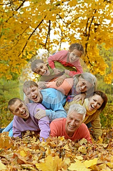 Portrait of a big family having fun