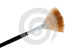 Big Fan Brush