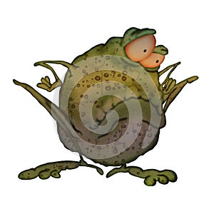 Big fat toad. illustration on a white background