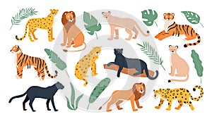 Big feline family animals, tiger, lion, cheetah and leopard. Wild cats from savanna and tropical forest. Jaguar and