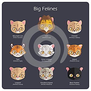 Big feline flat avatars with regular and scientific names