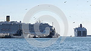 Big ferry in the port of Malaga. Seagull feeding in the air