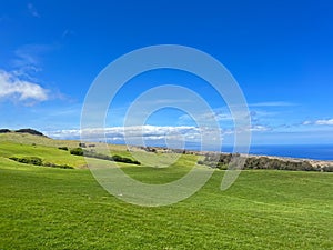 Big field next to a blue ocean on a sunny day under a blue sky with the horizon in the background
