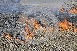 A big fire. The dry grass is burning. much smoke