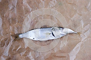 Big fish eats small fish