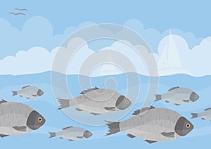 Big fish flock under water