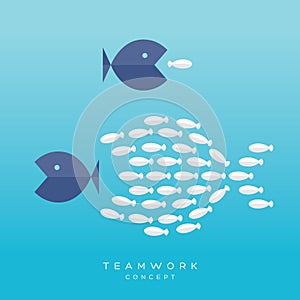 Big Fish Small Fish Teamwork Concept