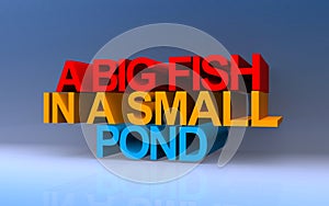 a big fish in a small pond on blue