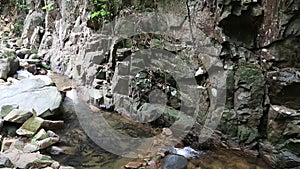 Big fishes swim in mountain river