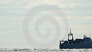 Big fishing boat trawling and catching fish as it crosses sea at horizon line during sunset. the fishing and sea-faring