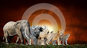 Big five on savanna landscape background and Mount Kilimanjaro at sunset