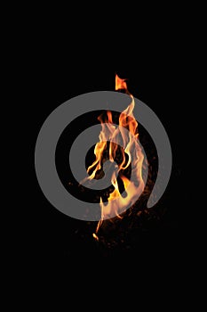 A big flame of fire in the dark. On a black background. Languages of fire. Fire