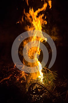 Big Vertical Flame Night Campfire