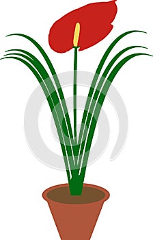 Big flower in brown flowerpot, vector