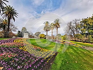 The big flower clock in Kings Park, Melbourne, the surrounding flowerbed lawn and palm trees