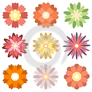 Colorful spring flowers collection set isolated on  white background