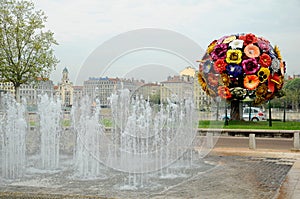 Big flower in Lyon