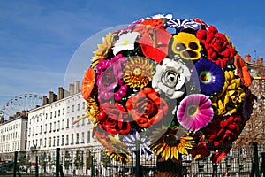 Big flower in Lyon