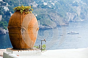 Big flower pitcher against a beautiful landscape