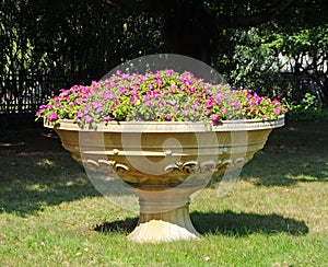 A big Flowerpot with flowers photo