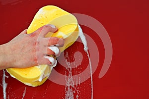 Big foamy yellow sponge photo