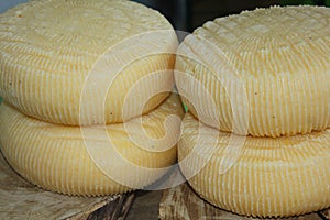 Big forms of fresh cheese in the market