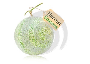 Big fresh Melon and tag on white background