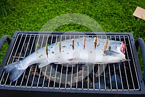 Big fresh salmon fish on the grill