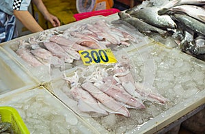 Big fresh squids in ice with price, close up