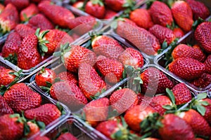 Big fresh strawberries in plastic container. closeup