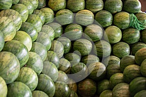 Big fresh watermelons stacked in rural Myanmar