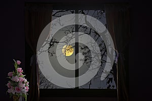 Big full moon in forest, moonlight drop in flower vase in a house