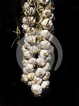 Big garlic braid exposed to sunlight in a country market