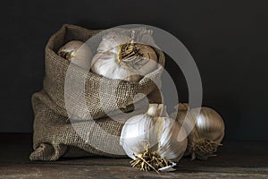 big Garlic Cloves and Bulb wooden table cooking on dark background. burlap sack cutting board copy space Close-up rustic still