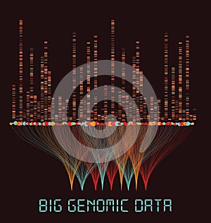Big Genomic Data Visualization - DNA Test, Barcoding, Genome Map Architecture photo