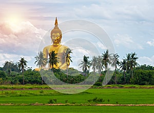 Big Golden Buddha statue at Wat Muang Temple angthong province