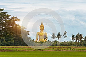 Big Golden Buddha statue at Wat Muang Temple angthong province