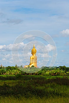 Big Golden Buddha statue at Wat Muang Temple angthong province