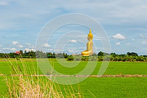 Big Golden Buddha statue at Wat Muang Temple angthong province