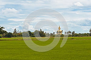 Big Golden Buddha statue at Wat Muang Temple angthong province