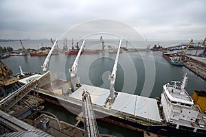 Big grain terminal at seaport. Cereals bulk transshipment from road transport to vessel. Loading grain crops on bulk photo