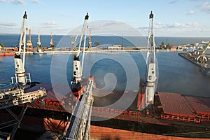 Big grain terminal at seaport. Cereals bulk transshipment from road transport to vessel. Loading grain crops on bulk