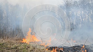Big grass fire disaster landscape