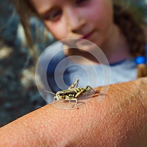 Big grasshopper and cute little girl, nature and clearness