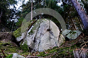Big gray boulder, moss and forest