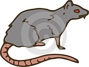 Big Gray Rat