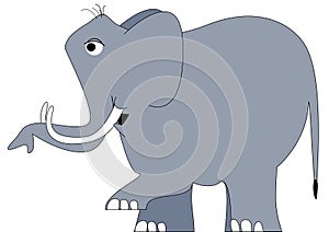 Big gray sweet and funny elefant