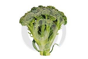 Big green broccoli on white background with flowers